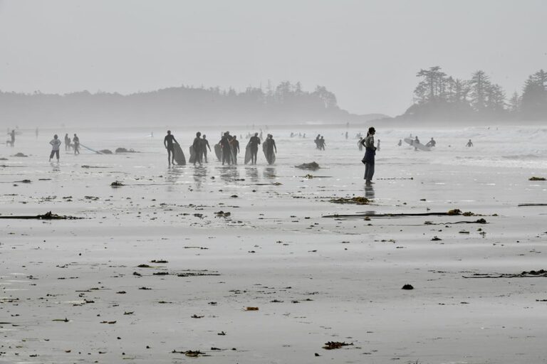 595 - Canada - Tofino - août 2025